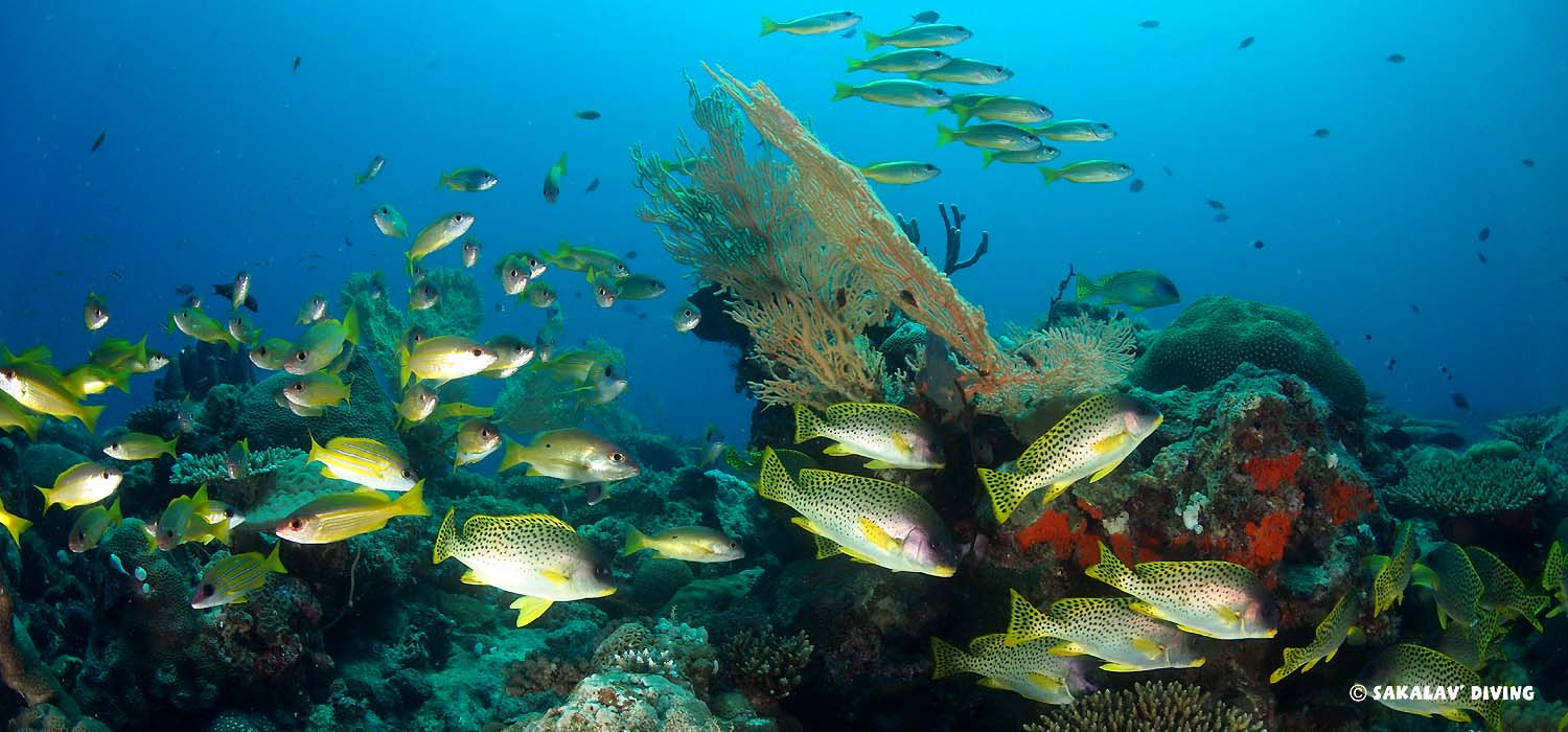 centre Plongée Nosy Be